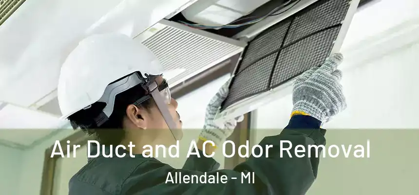  Air Duct and AC Odor Removal Allendale - MI