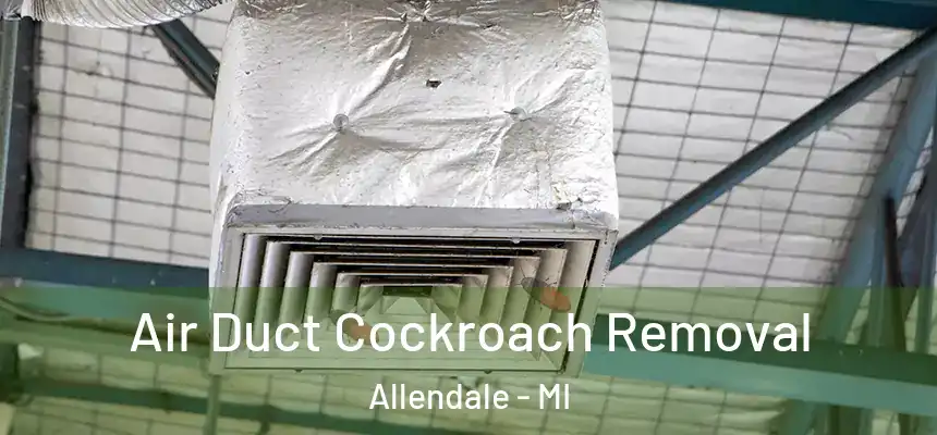 Air Duct Cockroach Removal Allendale - MI