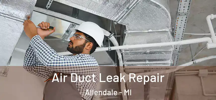  Air Duct Leak Repair Allendale - MI