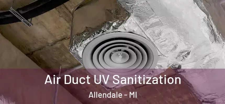  Air Duct UV Sanitization Allendale - MI