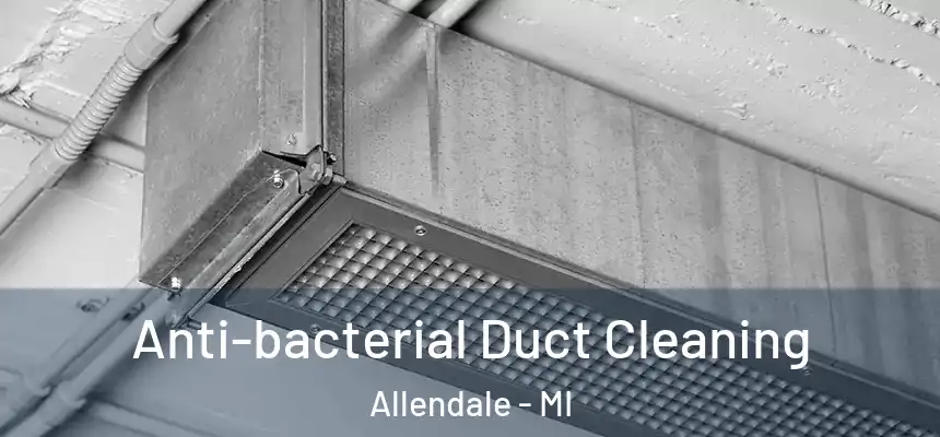  Anti-bacterial Duct Cleaning Allendale - MI