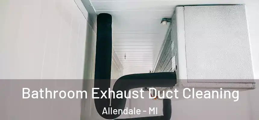 Bathroom Exhaust Duct Cleaning Allendale - MI