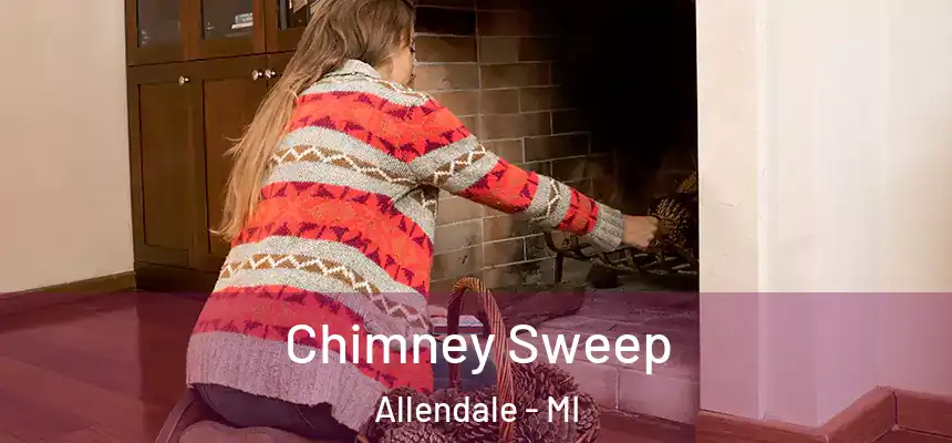  Chimney Sweep Allendale - MI
