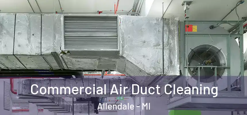 Commercial Air Duct Cleaning Allendale - MI