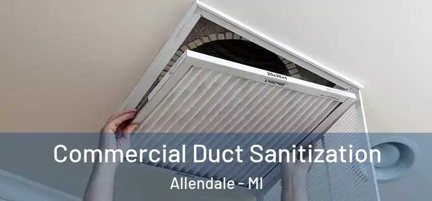  Commercial Duct Sanitization Allendale - MI