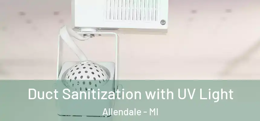 Duct Sanitization with UV Light Allendale - MI