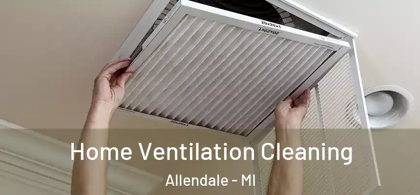 Home Ventilation Cleaning Allendale - MI