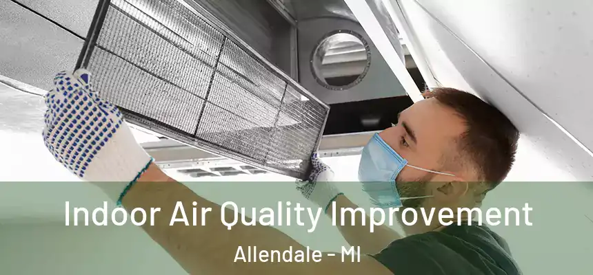 Indoor Air Quality Improvement Allendale - MI