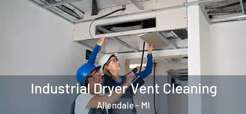 Industrial Dryer Vent Cleaning Allendale - MI