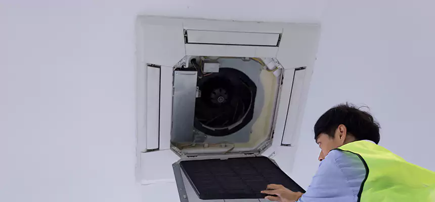 Our Dryer Vent Sanitization Service Services in Allendale, MI