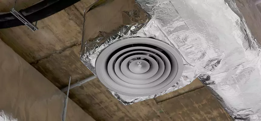 Our Excess Lint Removal from Dryer Ducts Services in Allendale, MI