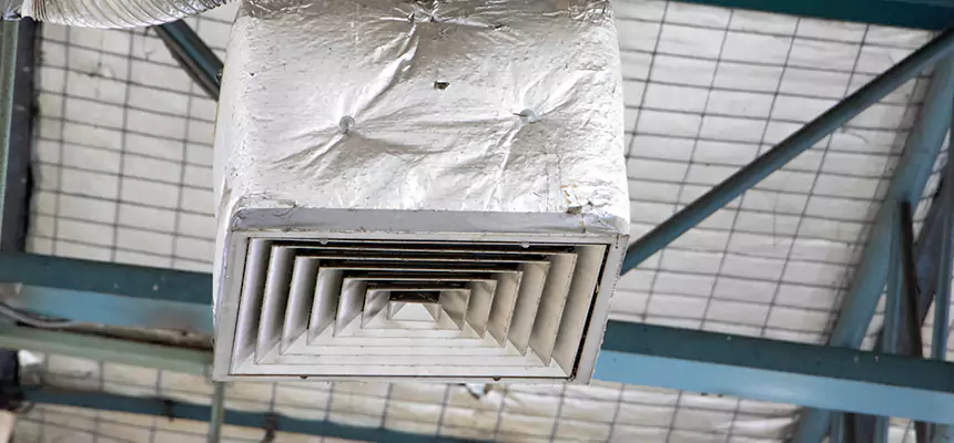 Our HVAC Mold Remediation Service Services in Allendale, MI