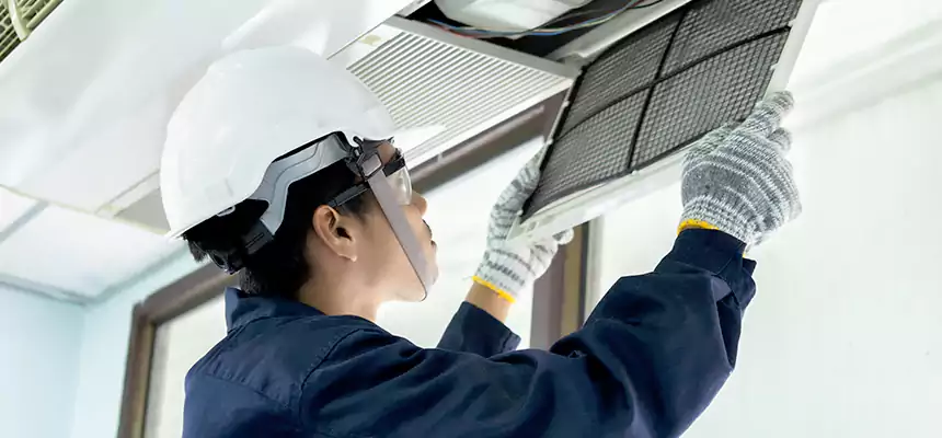 Our Mold & Mildew Removal from Air Ducts Services in Allendale, MI