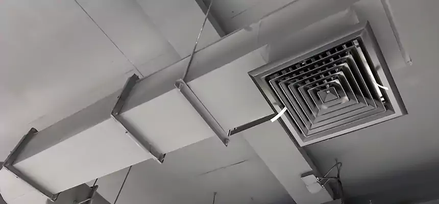 Our Pest Removal From Ducts Services in Allendale, MI