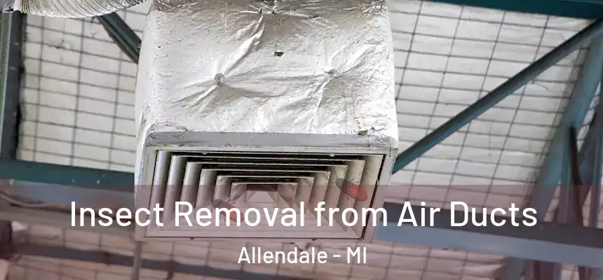 Insect Removal from Air Ducts Allendale - MI