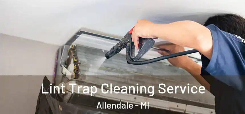  Lint Trap Cleaning Service Allendale - MI