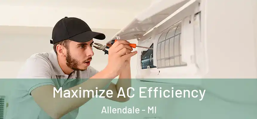 Maximize AC Efficiency Allendale - MI