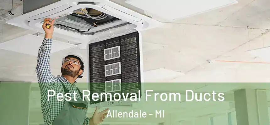  Pest Removal From Ducts Allendale - MI