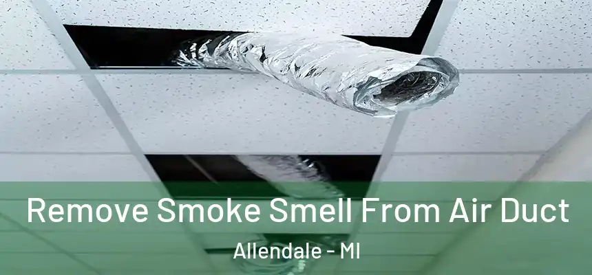 Remove Smoke Smell From Air Duct Allendale - MI