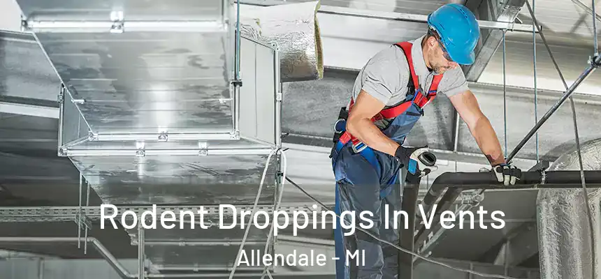 Rodent Droppings In Vents Allendale - MI