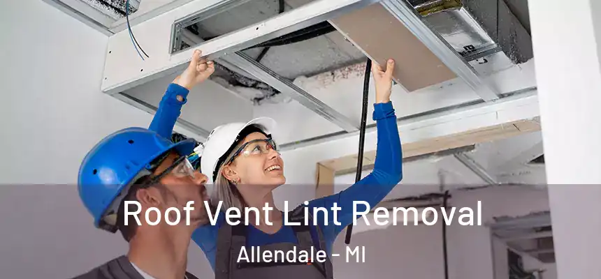  Roof Vent Lint Removal Allendale - MI