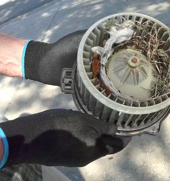 About Air Duct Mice Removal in Allendale, MI