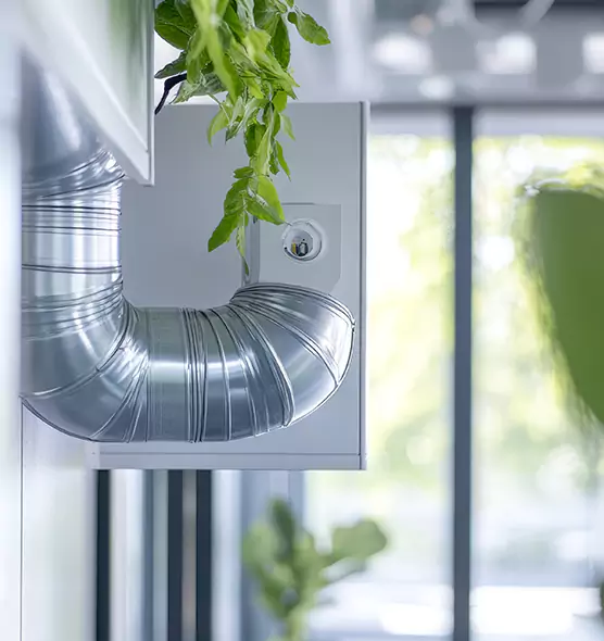 Professional Eco-Friendly Duct Cleaning Services in Allendale, MI