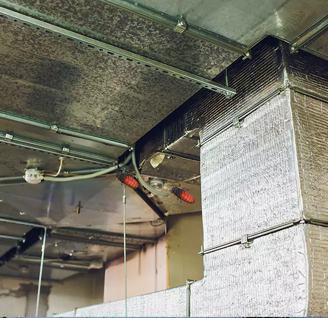 Why Homeowners & Businesses Trust Us in Allendale, MI?