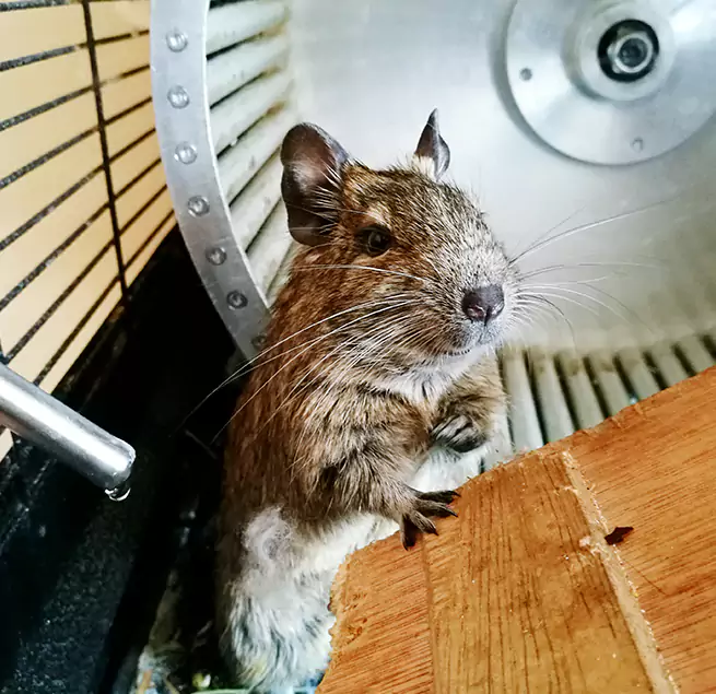 Why Homeowners & Businesses Trust Us Allendale, MI