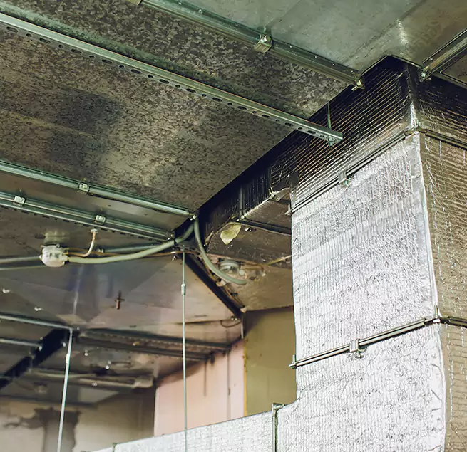 Why Homeowners & Businesses Trust Us in Allendale, MI?