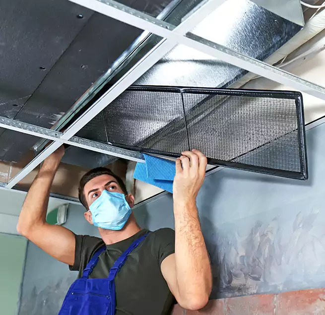 Why Homeowners Businesses Trust Us in Allendale, MI