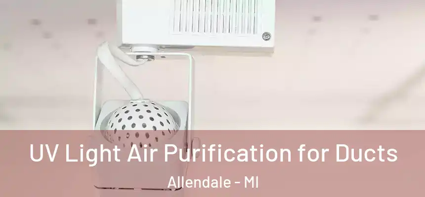  UV Light Air Purification for Ducts Allendale - MI
