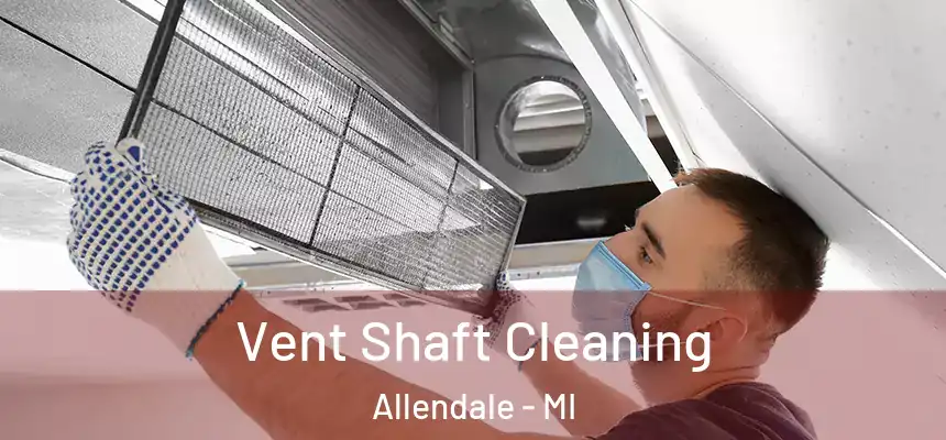 Vent Shaft Cleaning Allendale - MI