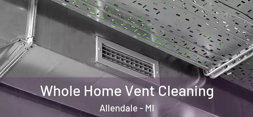 Whole Home Vent Cleaning Allendale - MI